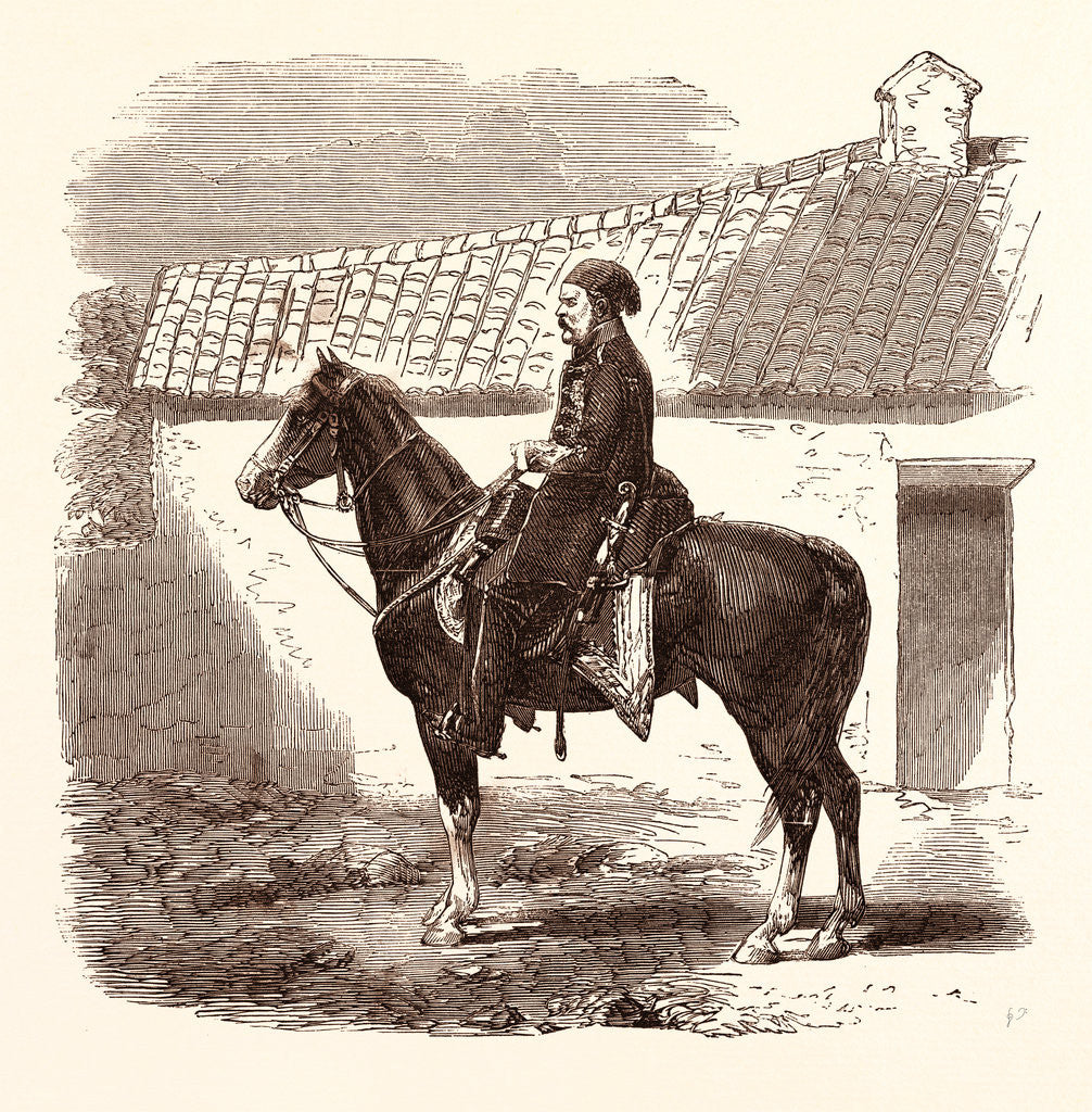 Detail of Omar Pacha by Anonymous