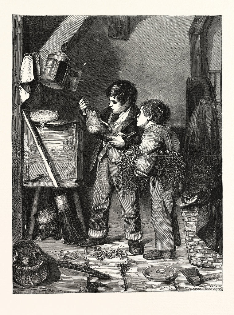 Detail of The Dead Rabbit by Anonymous