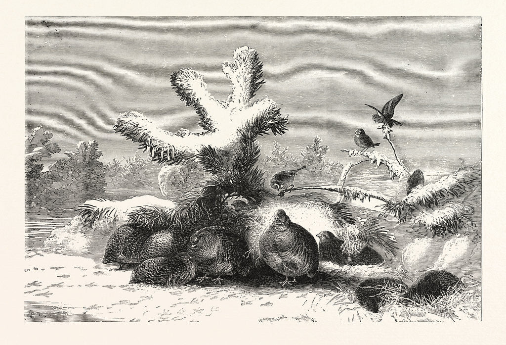 Detail of The Covey by Anonymous