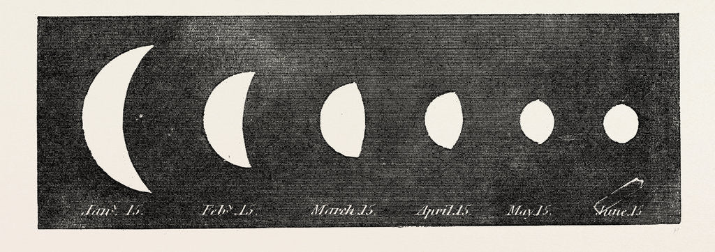 Detail of Phases of Venus in 1859 by Anonymous