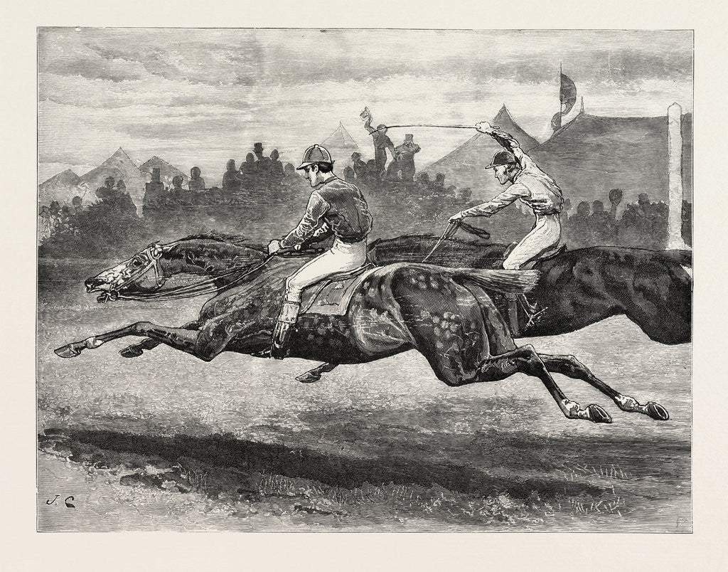 Detail of Horse Racing by Anonymous