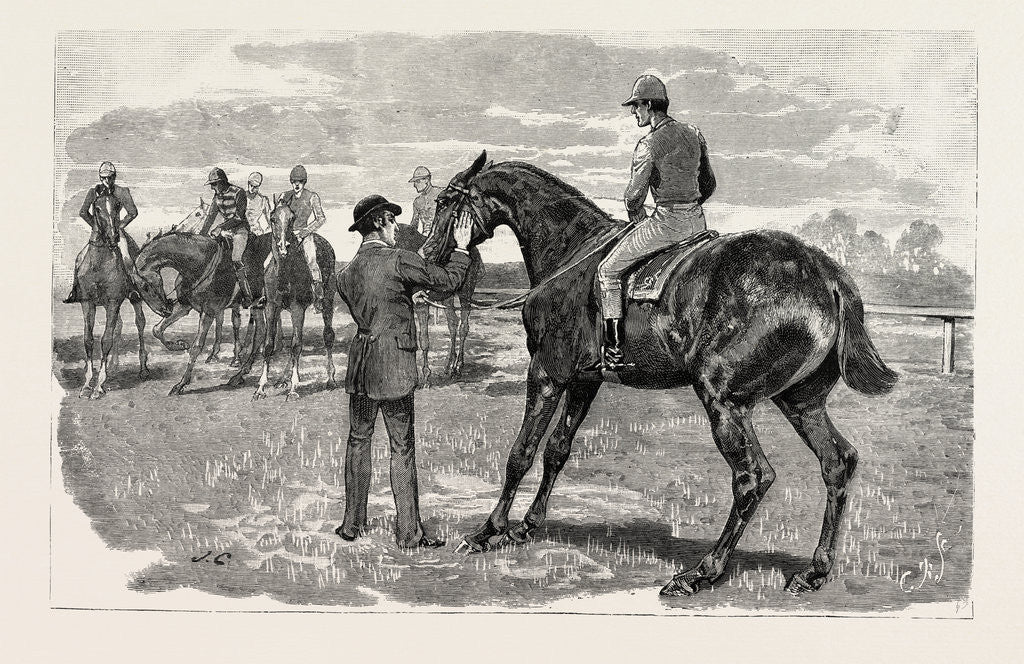 Detail of Horse by Anonymous