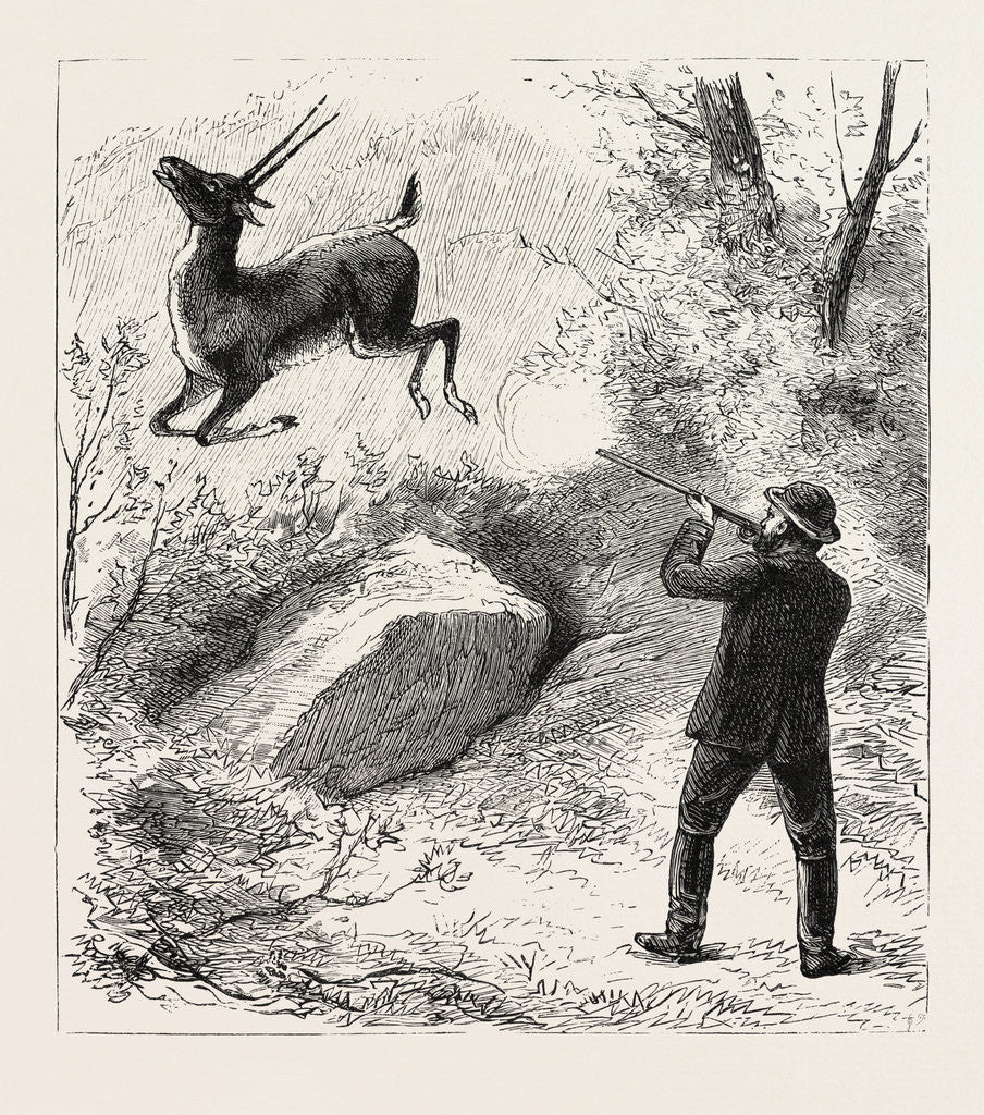 Detail of A Flying Shot by Anonymous