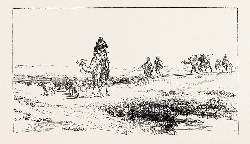 Detail of By the Borders of the Dessert by Anonymous