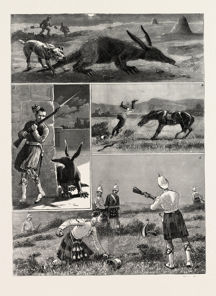 Detail of South Africa by Anonymous