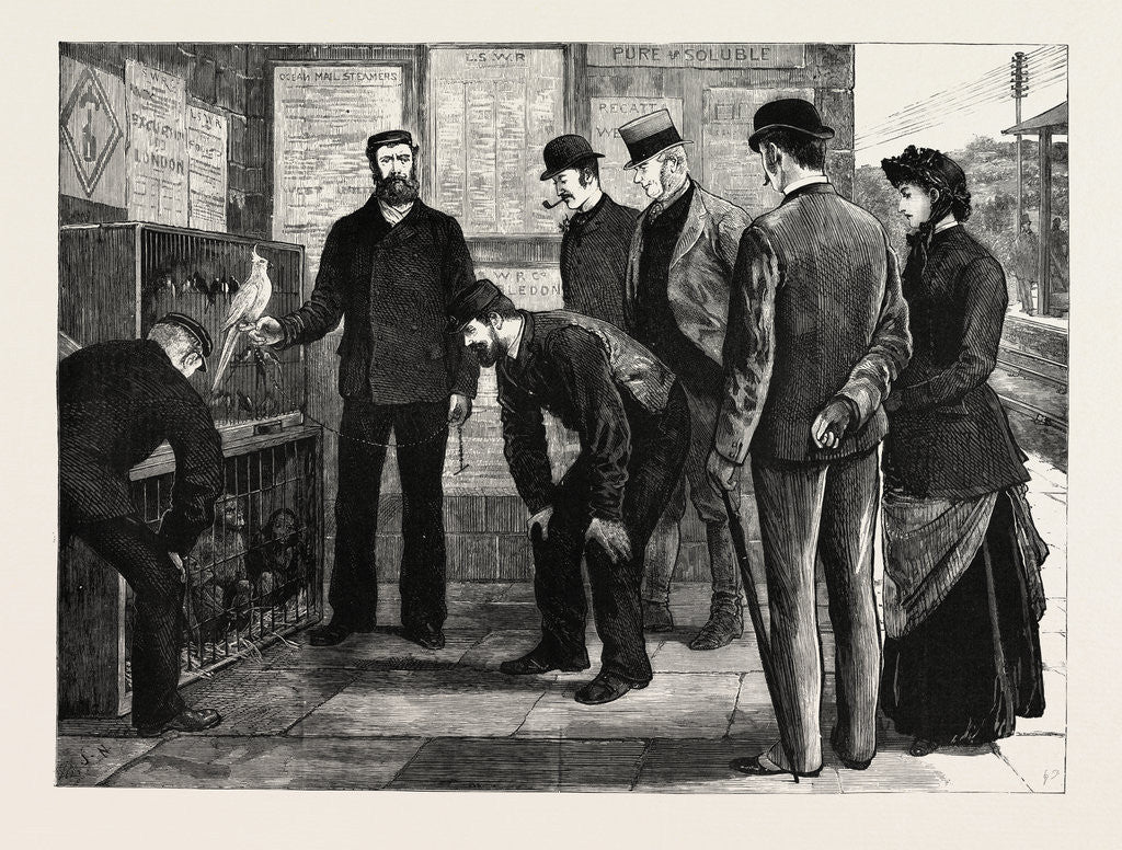 Detail of Monkeys, Birds by Anonymous