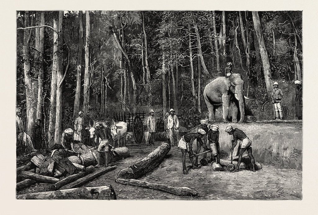 Detail of Natives Felling Timber in a Forest Perseverance Property, Gold Mining in Wynaad, India by Anonymous