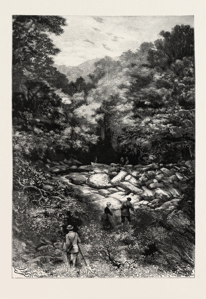 Detail of The Grotto of St. Andre Near Nice, France by Anonymous