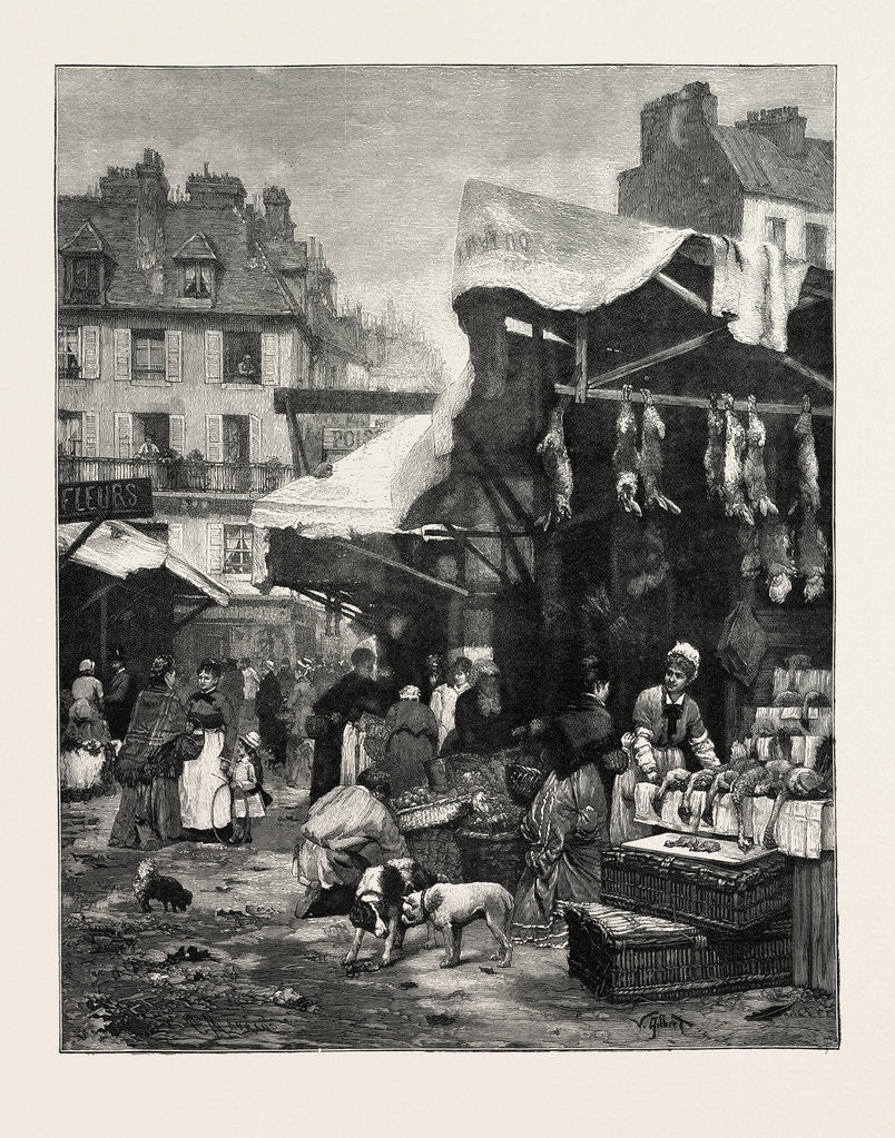 Detail of The Old Game and Poultry Market in Paris, Rance by Anonymous