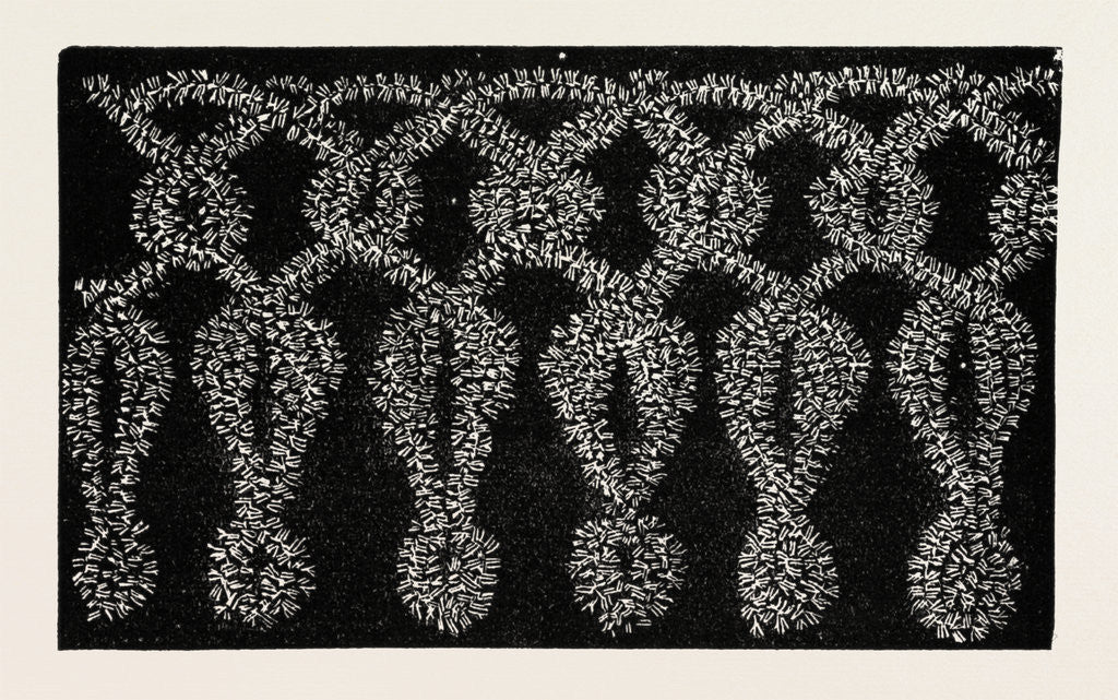 Detail of Fringe for Opera Hood and Crochet Cape by Anonymous