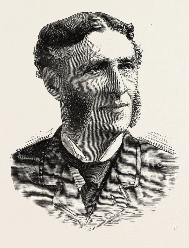 Detail of Mr. Matthew Arnold Died 1888 by Anonymous