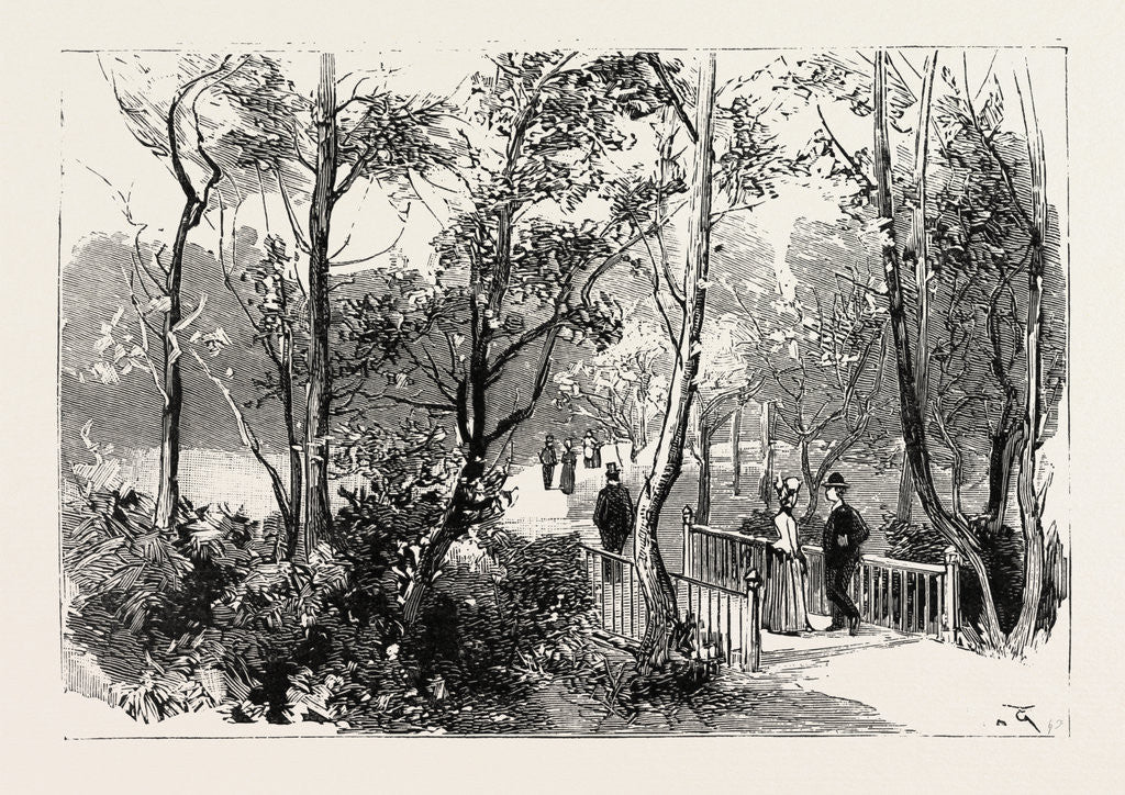 Detail of Bournemouth, View in Public Gardens by Anonymous