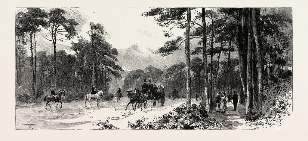 Detail of Bournemouth, Gervis Road by Anonymous