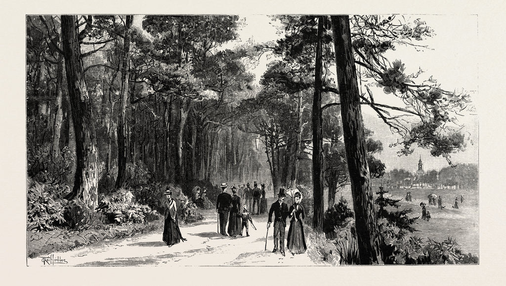Detail of Bournemouth, the Invalids Walk in Public Gardens by Anonymous