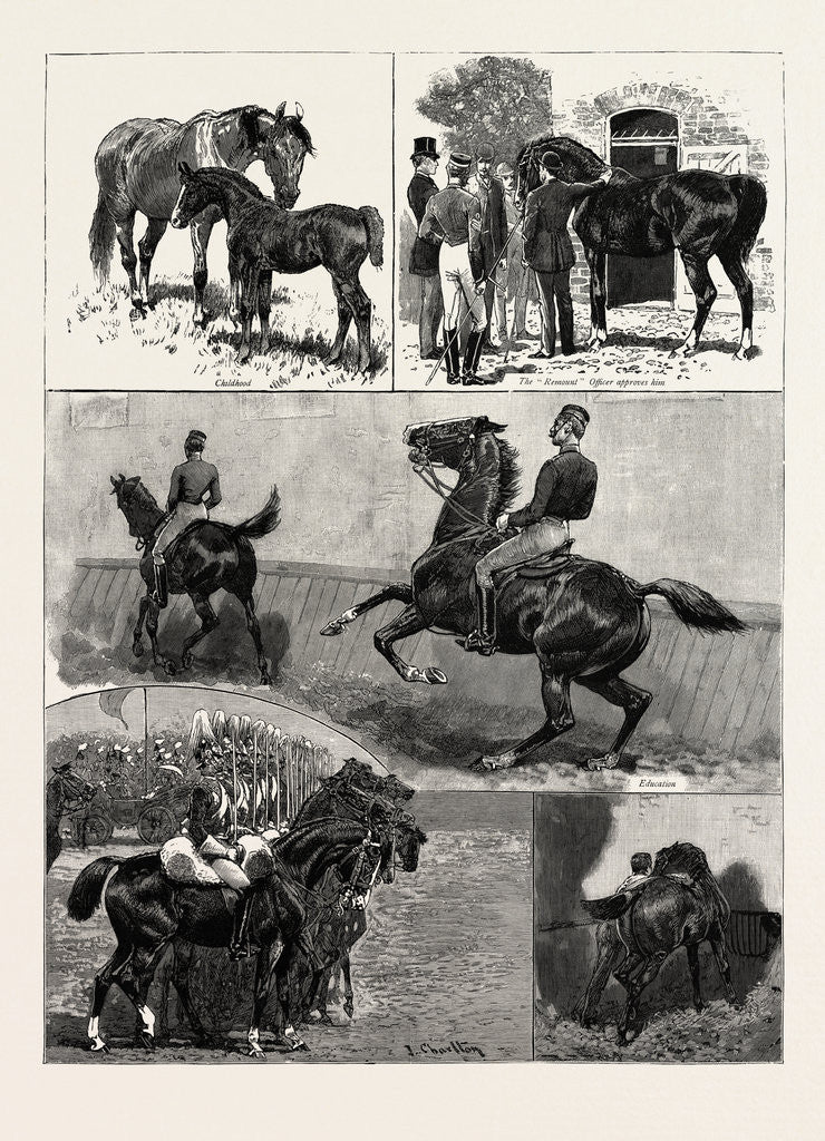 Detail of Life of a Military Charger by Anonymous