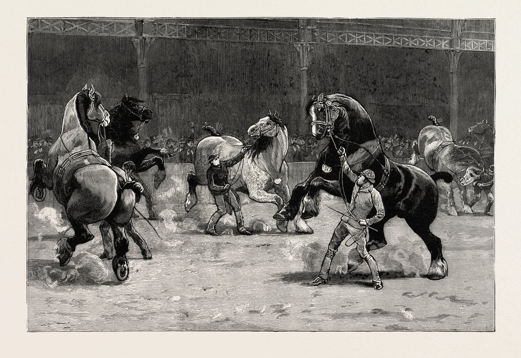 Detail of The Shire Horse Show at the Agricultural Hall, the Effect of Applause by Anonymous