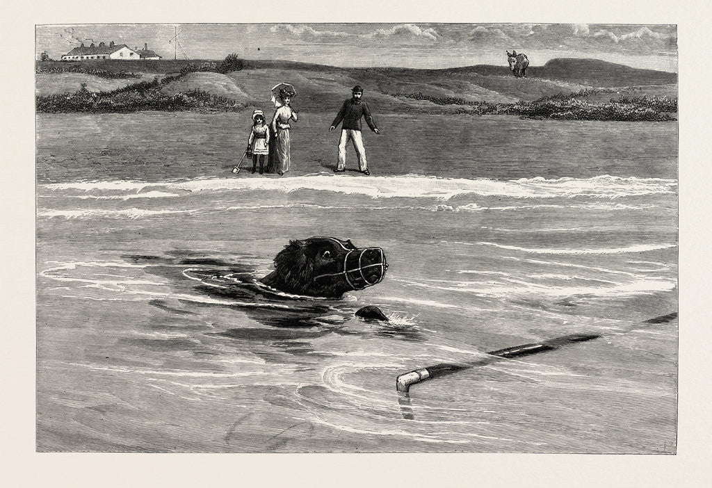 Detail of Muzzled But Faithful or the Force of Habit by Anonymous