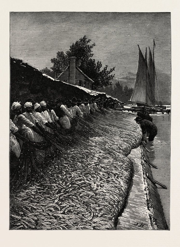 Detail of The American Fisheries Question, Shad Fishing on the Potomac, United States by Anonymous
