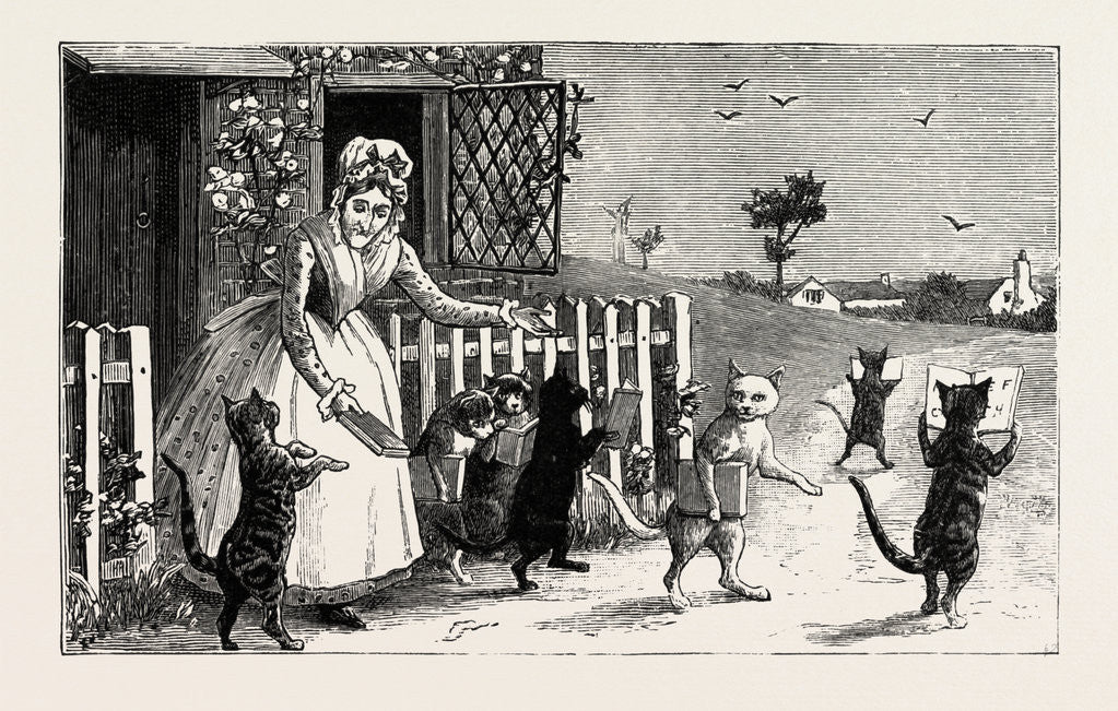 Detail of Reading Cats by Anonymous