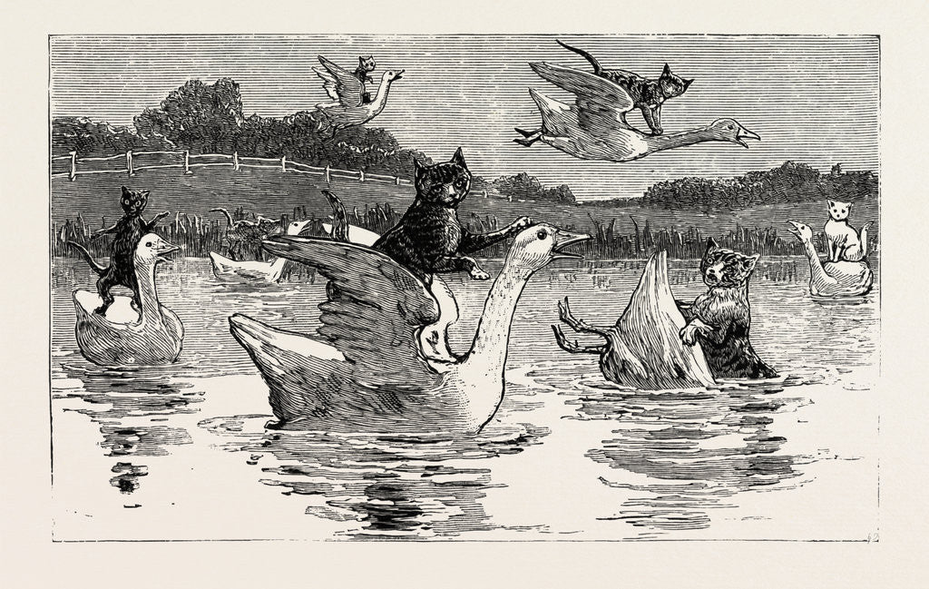 Detail of To Show Them His Poultry, He Turned Them All Loose, When Each Nimbly Leaped on the Back of a Goose, which Frightened Them So, that They Ran to the Sea, and Half-Drowned the Cats of Dame Wiggins of Lee by Anonymous