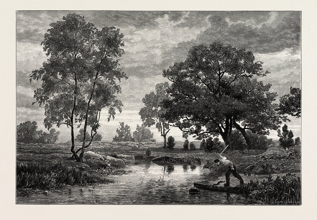 Detail of Mare Near Belle Croix, France by Anonymous