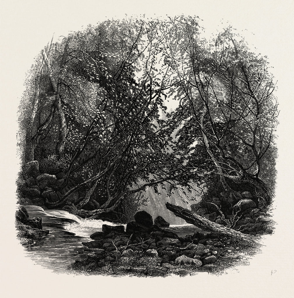 Detail of Head of the Staubbach, Bernese Oberland, Berner Oberland, Switzerland by Anonymous