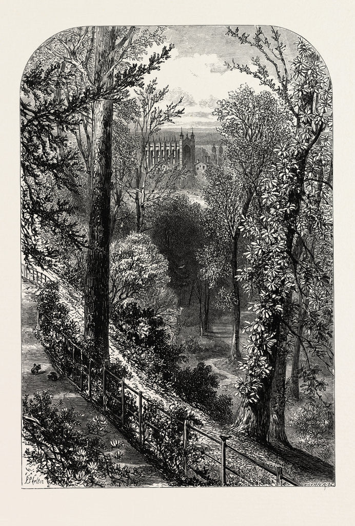 Detail of The Slopes, Windsor by Anonymous