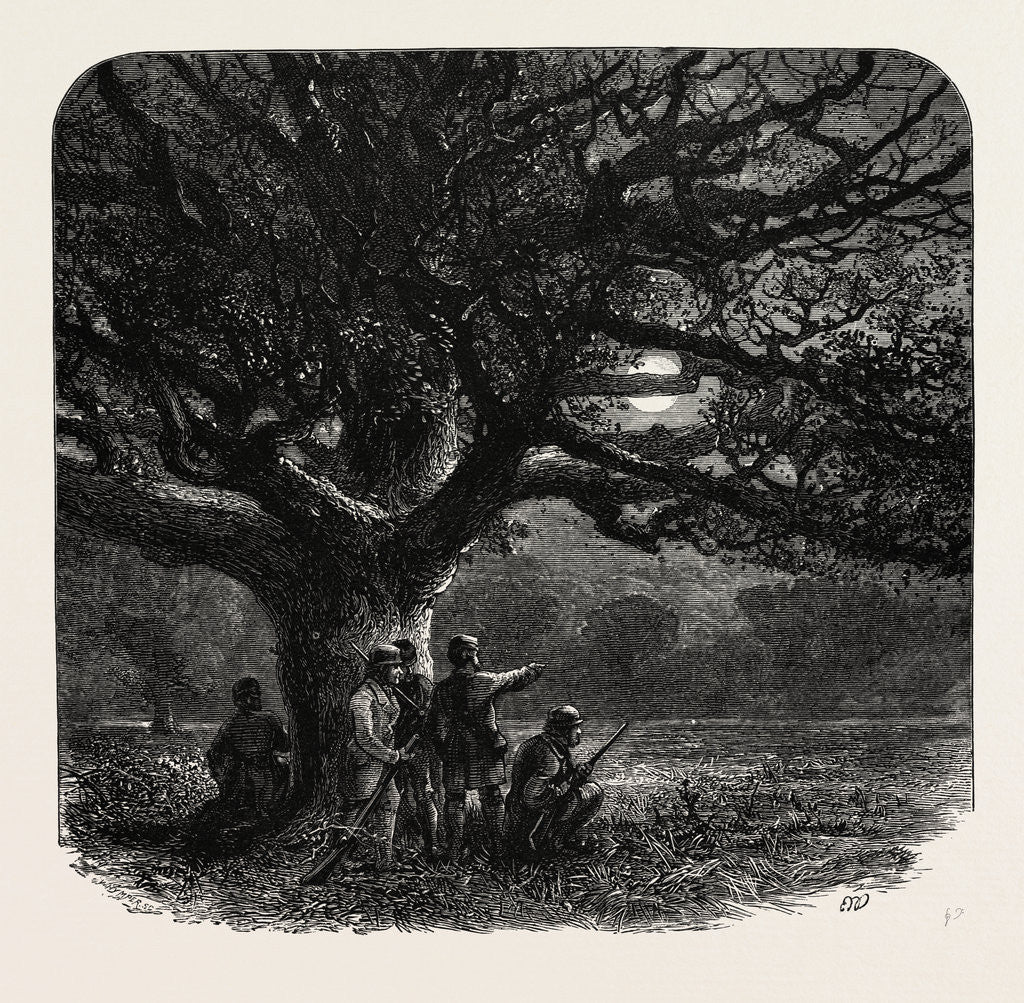 Detail of The Watch Oak, Windsor by Anonymous