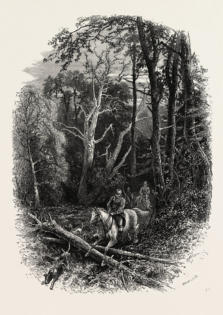 Detail of In Cedar Walk, Virginia Water, Windsor by Anonymous