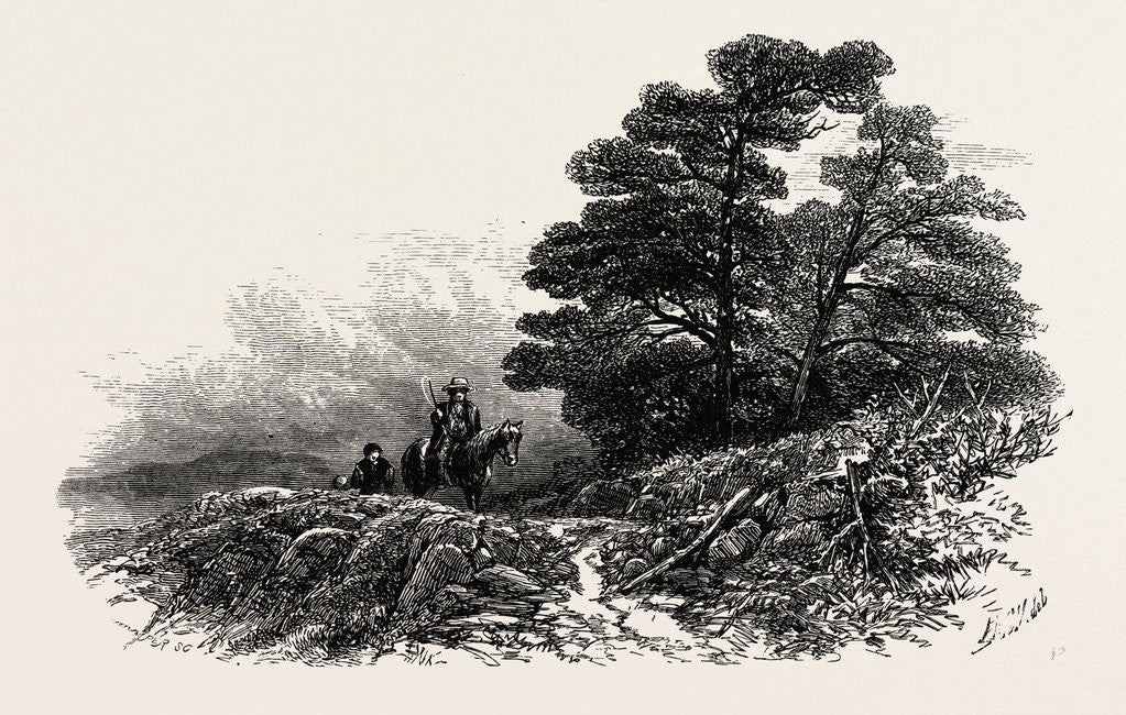 Detail of Mountain Path Near Capel Curig, North Wales by Anonymous