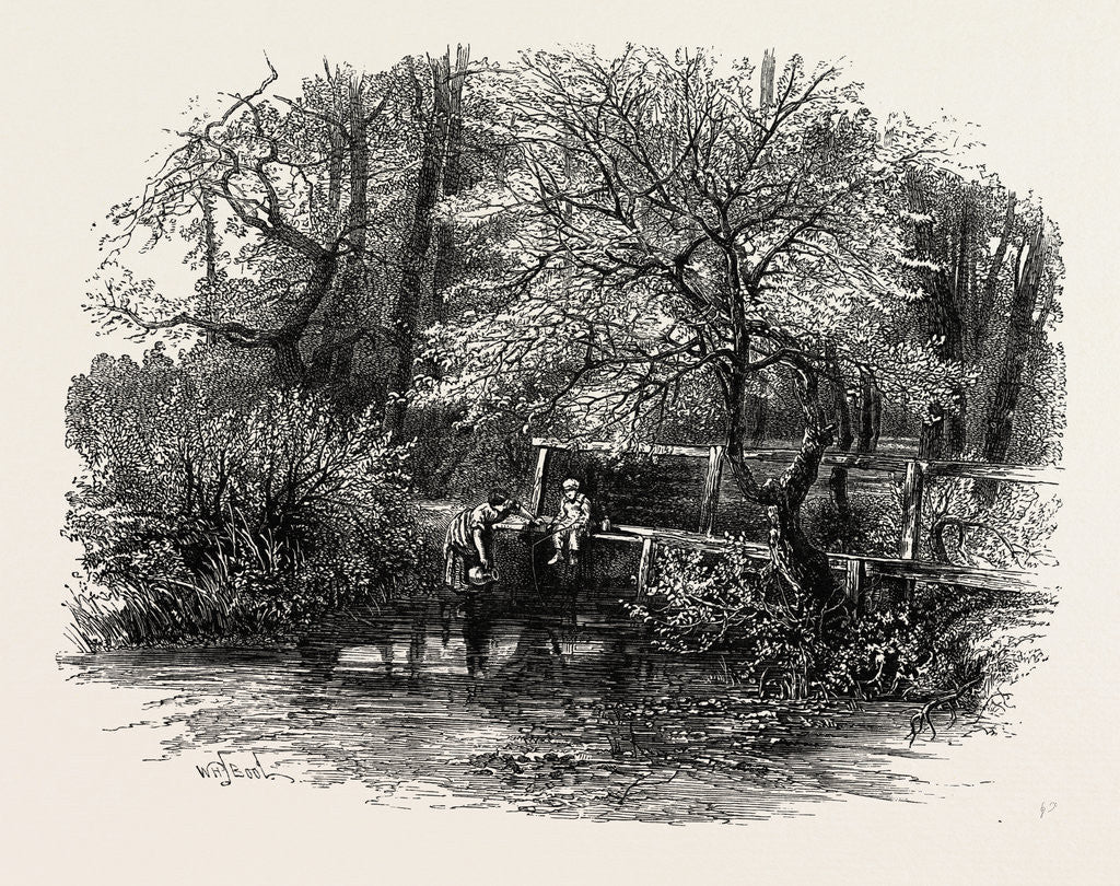 Detail of Markeaton Brook, the Dales of Derbyshire, Country by Anonymous