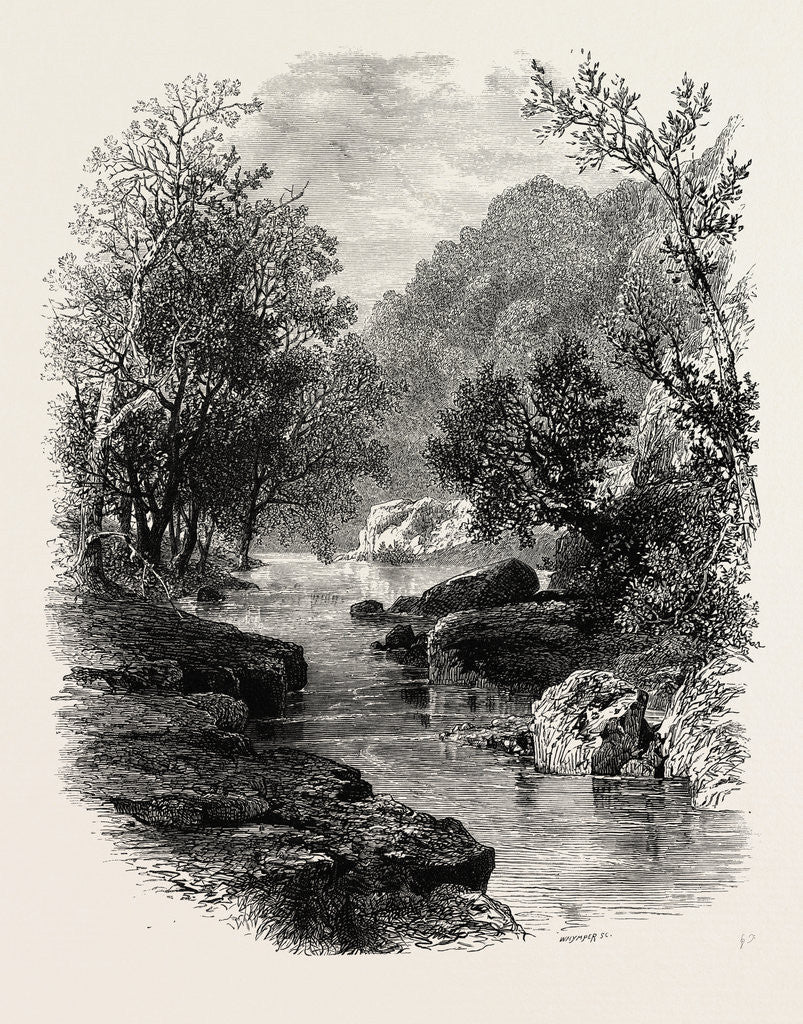 Detail of The Valley of the Wharfe, the Forest Scenery of Great Britain by Anonymous