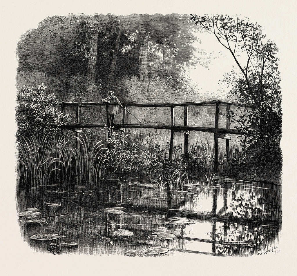 Detail of Near Godalming, the Forest Scenery of Great Britain by Anonymous