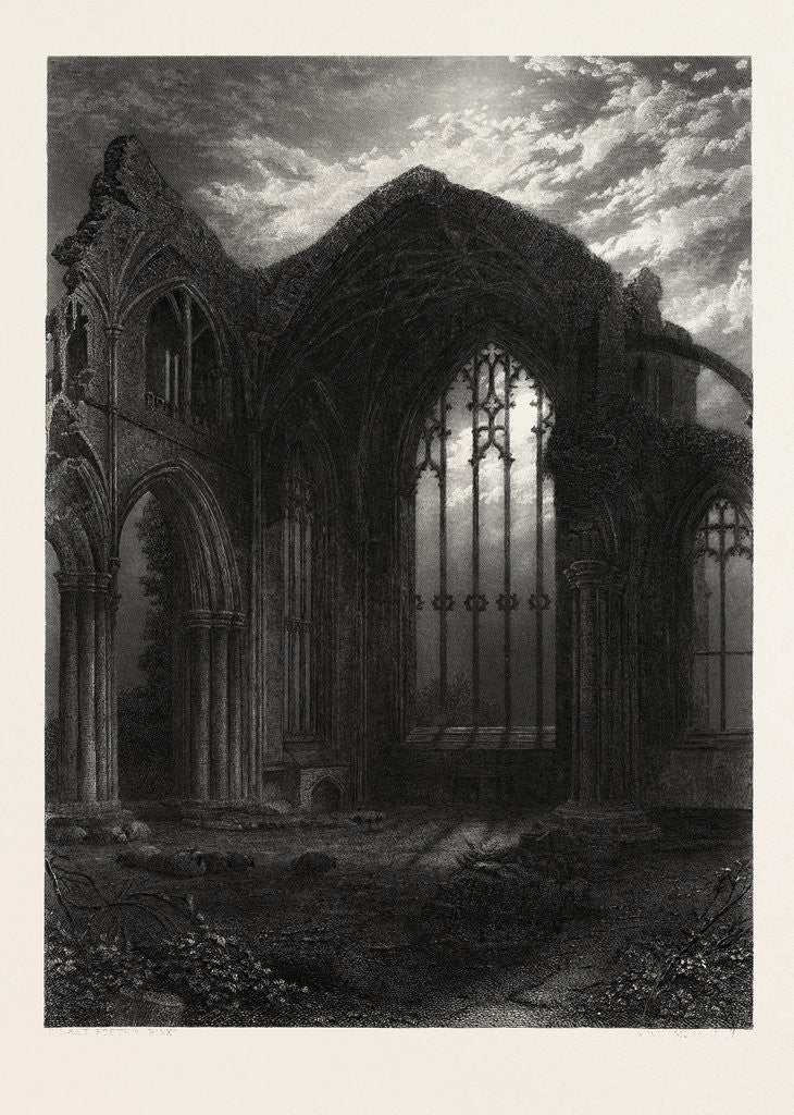 Detail of Melrose Abbey, Scotland, Great Britain by Anonymous