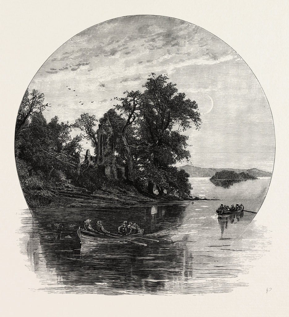 Detail of Innisfallen, Killarney, Ireland, Irish, Eire by Anonymous