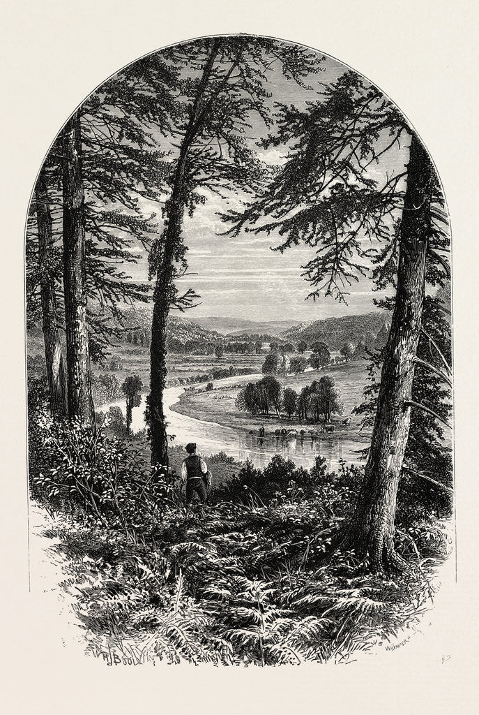 Detail of The Vale of Avoca, Ireland, Irish, Eire by Anonymous