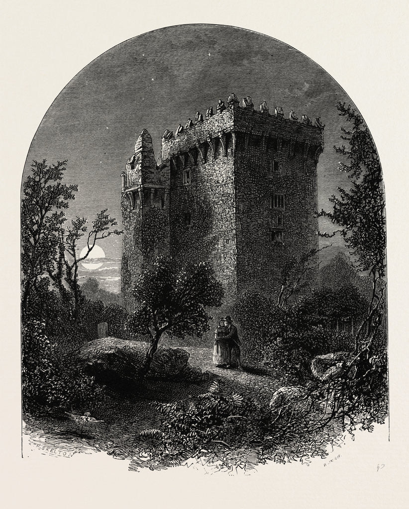 Detail of Blarney Castle, Ireland, Irish, Eire by Anonymous