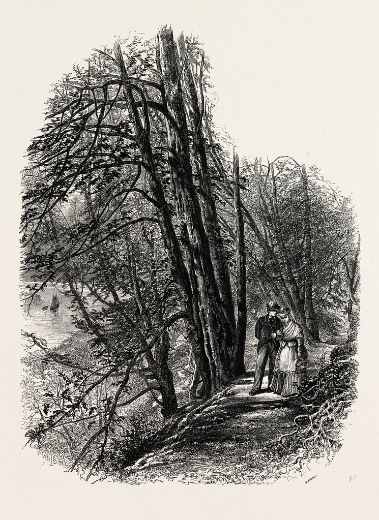 Detail of In Cliefden Woods, Scenery of the Thames by Anonymous