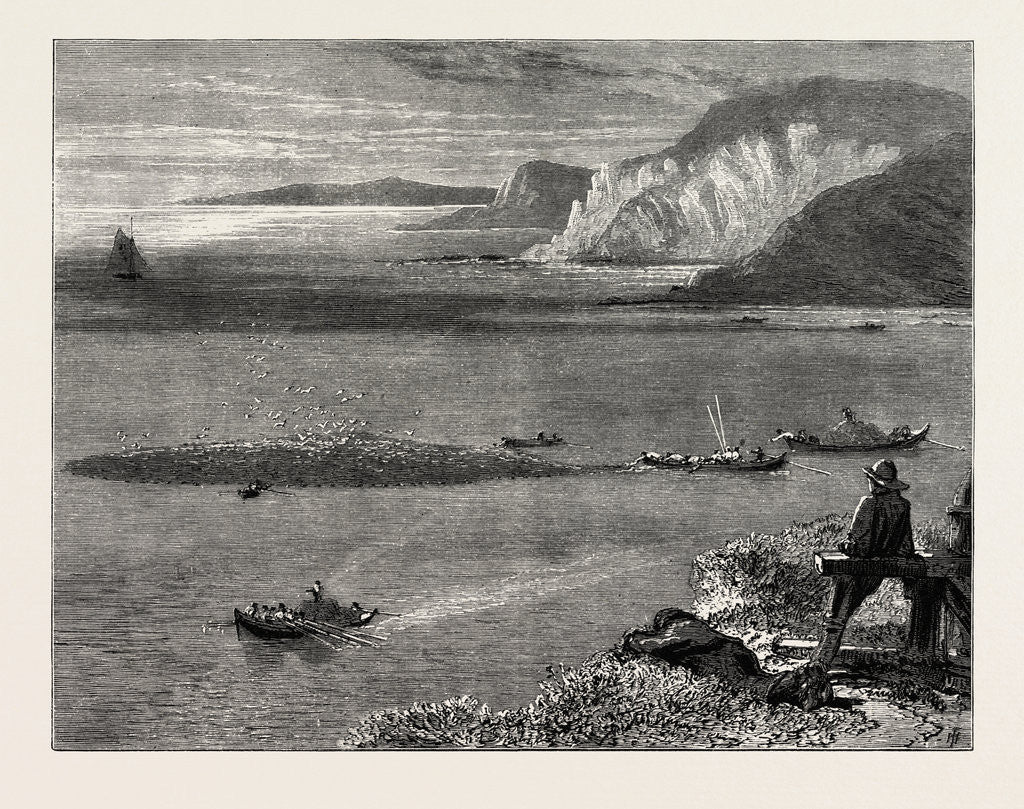 Detail of Pilchard Fishing of the Lizard, the South Coast by Anonymous