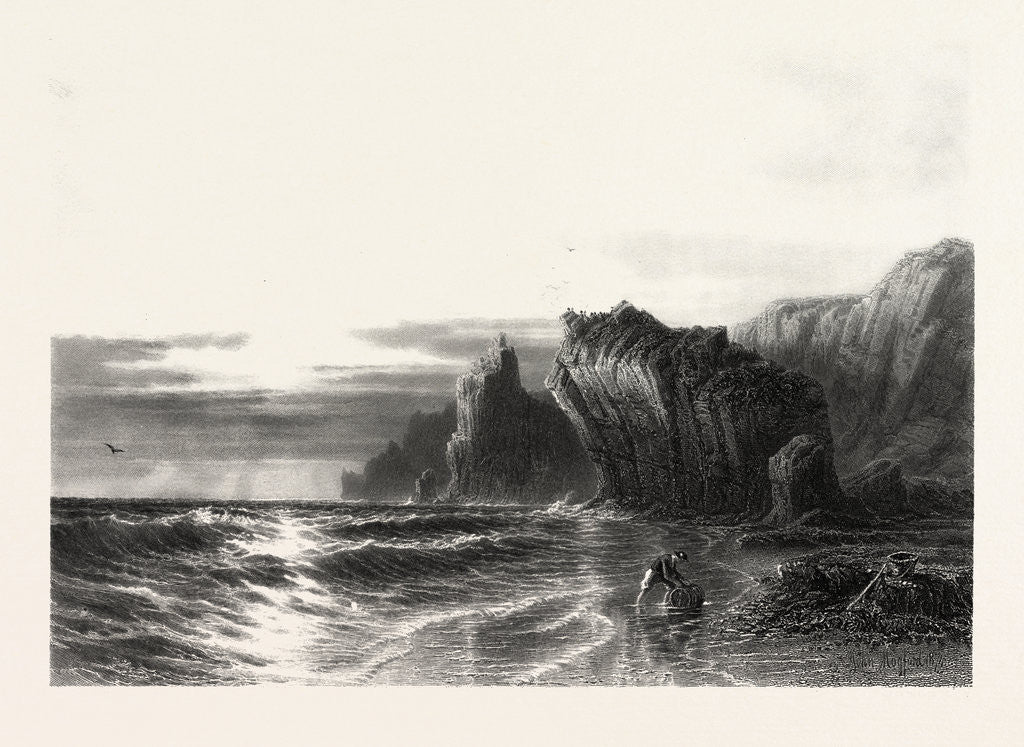 Detail of Kynance Rocks, Cornwall by Anonymous