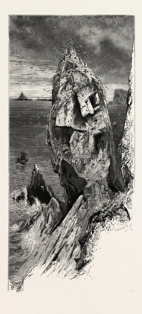 Detail of Mullion Gull Rock, the South Coast by Anonymous