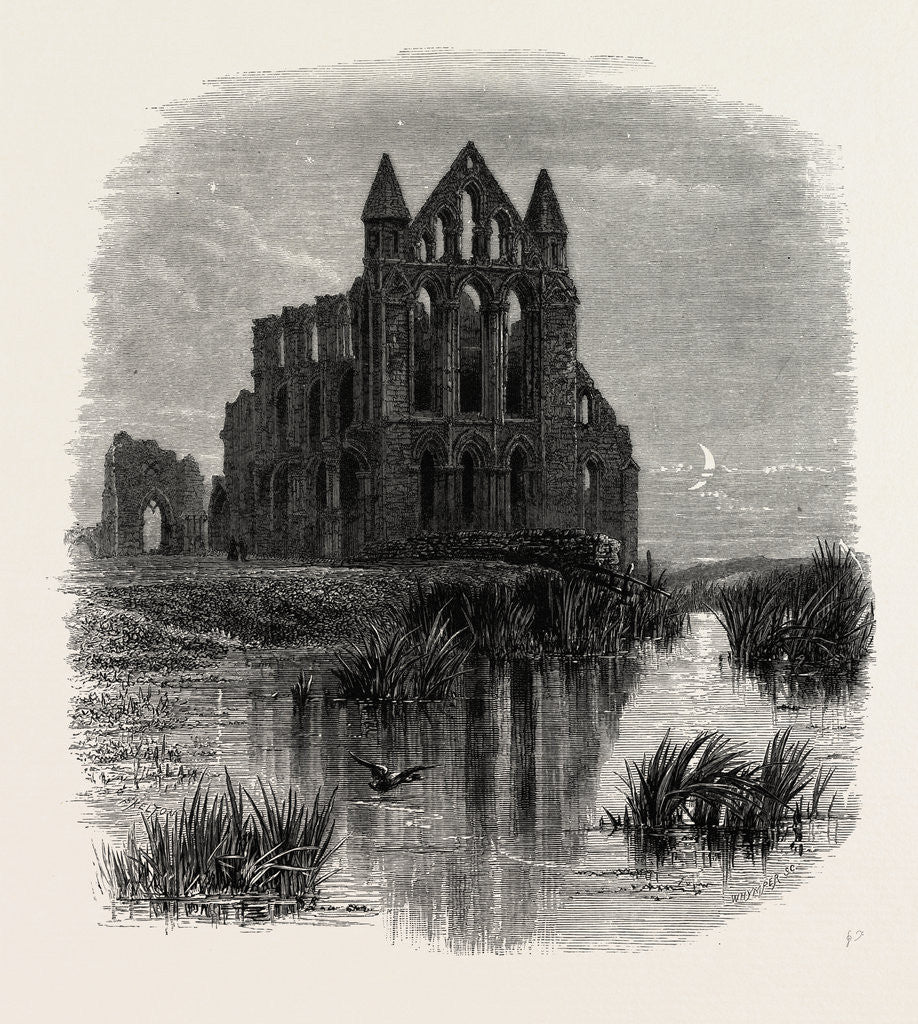 Detail of Whitby Abbey by Anonymous
