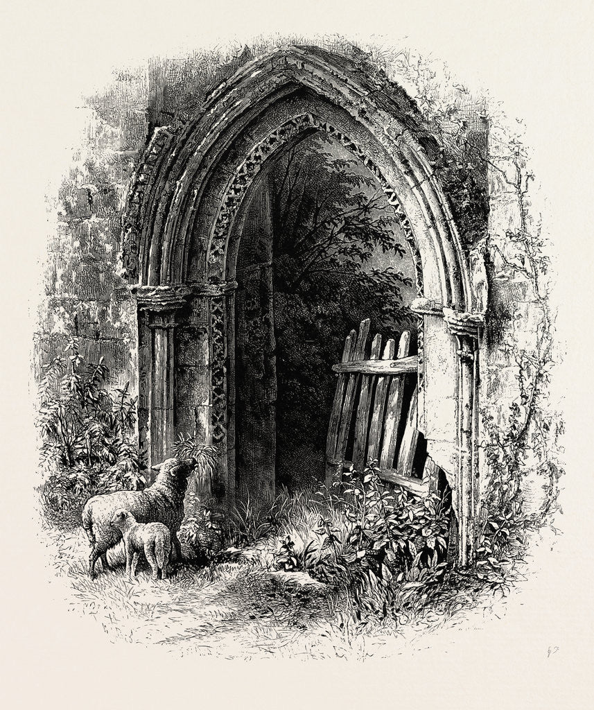 Detail of Doorway at Rivaux Abbey by Anonymous