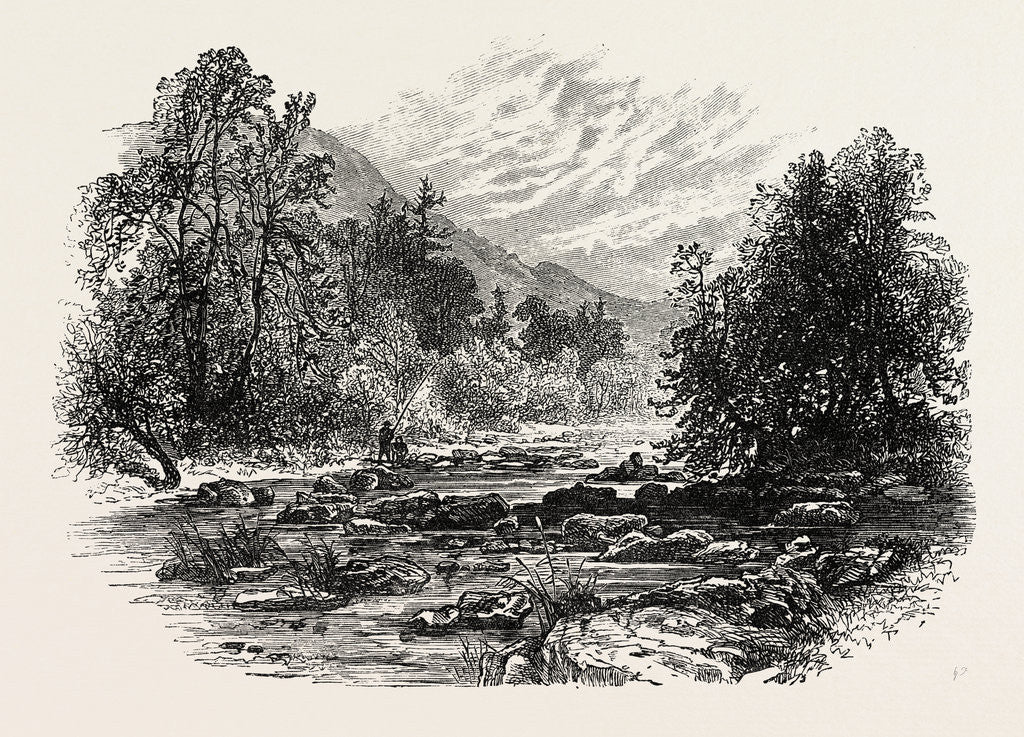 Detail of View in Massachusetts by Anonymous