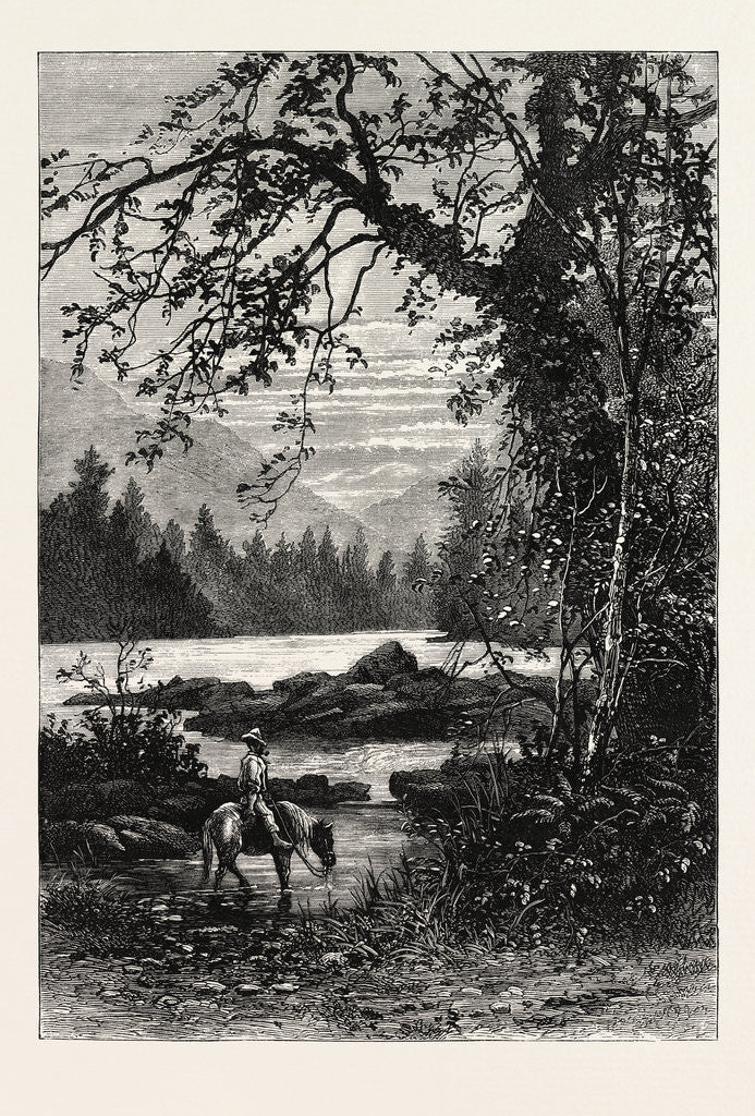 Detail of View in North Carolina by Anonymous