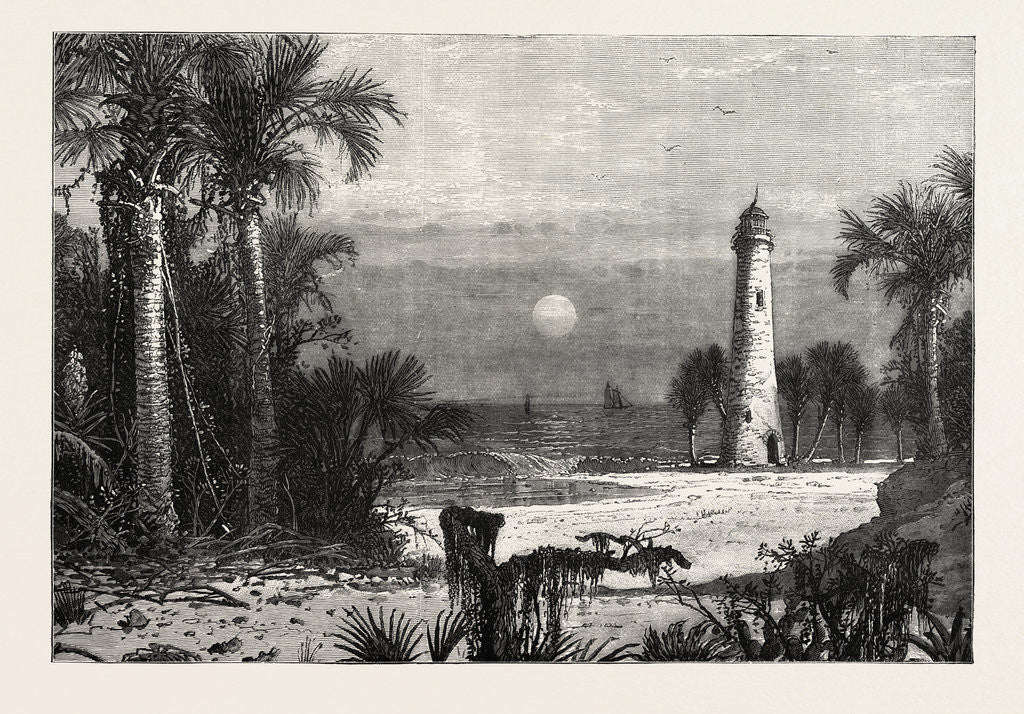 Detail of View on the Coast of Florida by Anonymous