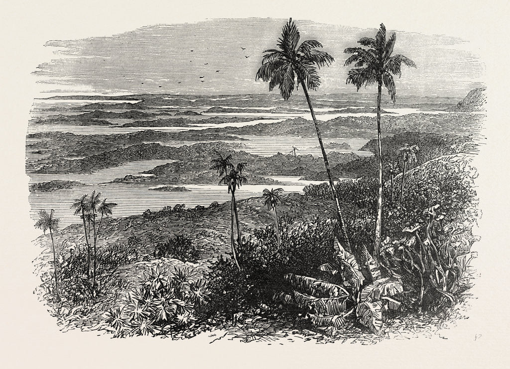 Detail of View in the Bermudas, Bermuda by Anonymous