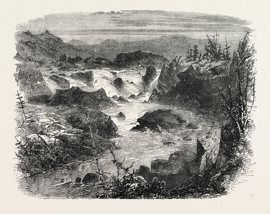 Detail of Falls of the Potomac by Anonymous