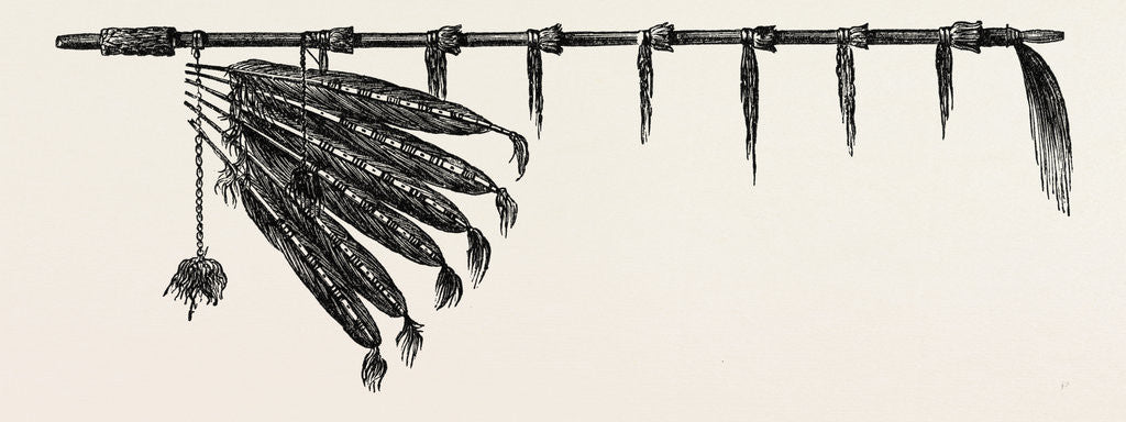 Detail of Indian Pipe by Anonymous