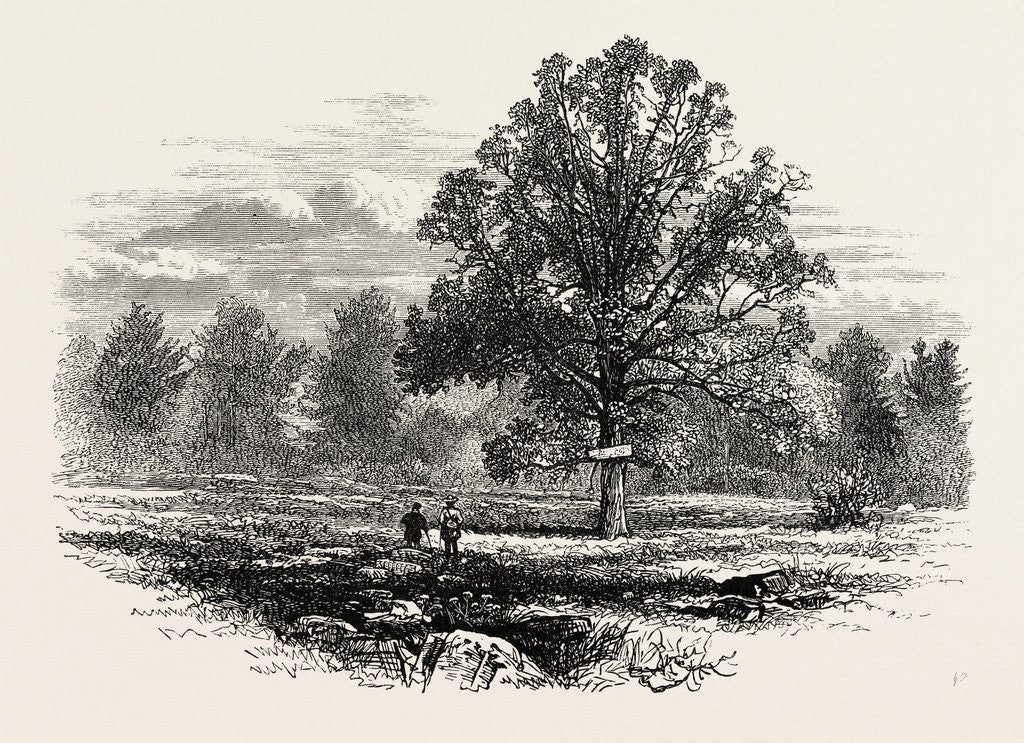 Detail of Battlefield of Abercrombie's Defeat by Anonymous